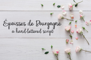 PN Époisses De Bourgogne: A Bouncy Script Font for Branding